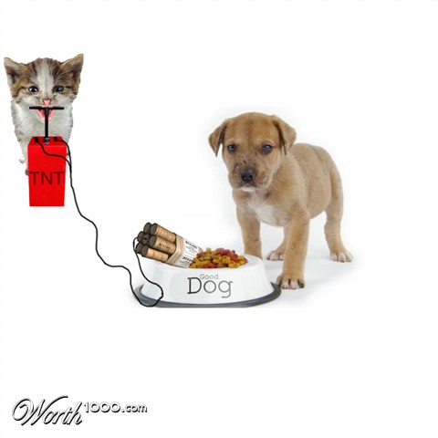 Photoshop Design by bladeoffire110