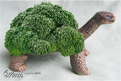 Photoshop Design by johnprice