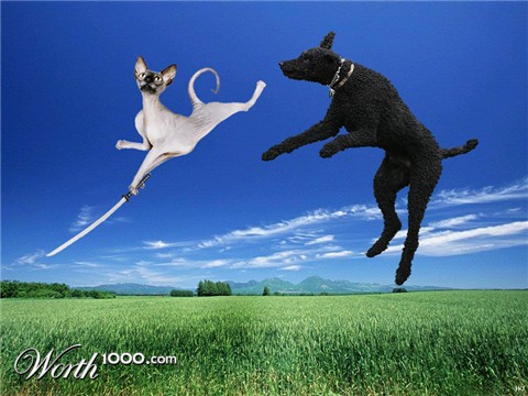 Photoshop Design by Seba86