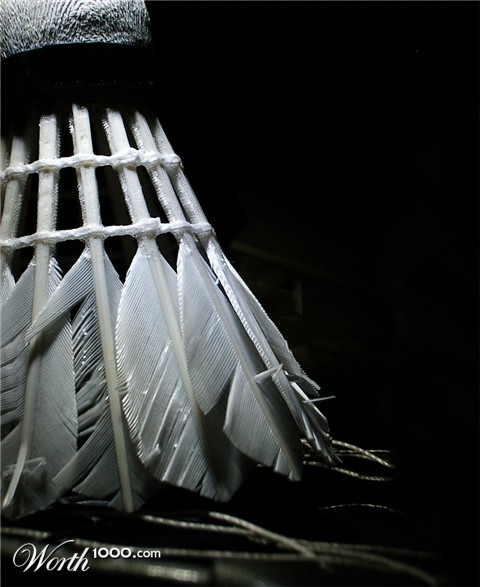 Photography by francodr