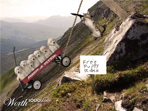 Photoshop Design by reallyme