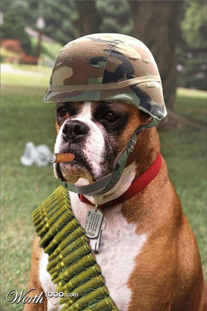 Photoshop Design by targetads