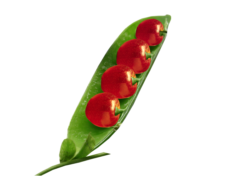 Design Photoshop par alicina pour DesignCrowd (Community Contests) | Design #9003588