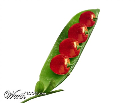 Photoshop Design by alicina