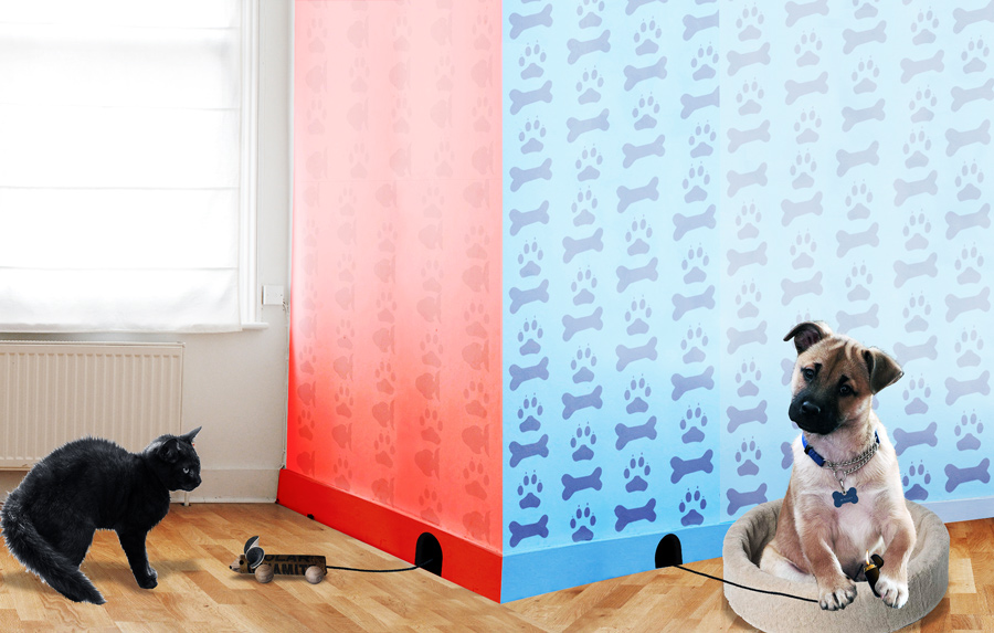 Photoshop Design by pdoggdizzle for DesignCrowd (Community Contests) | Design #9003565