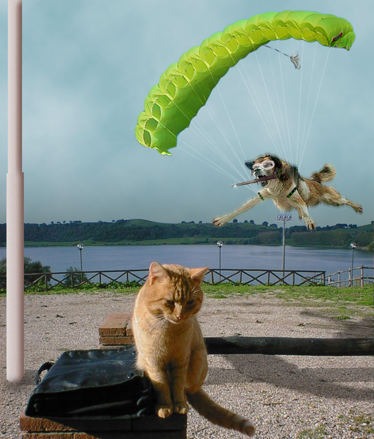 Photoshop Design by kavaweb for DesignCrowd (Community Contests) | Design #9003637