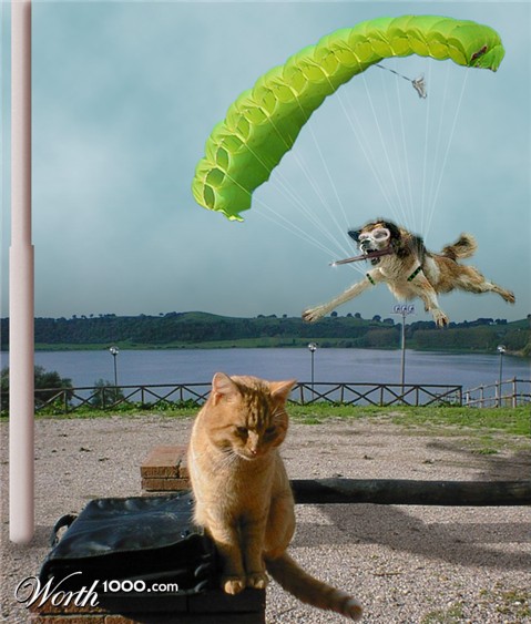 Photoshop Design by kavaweb