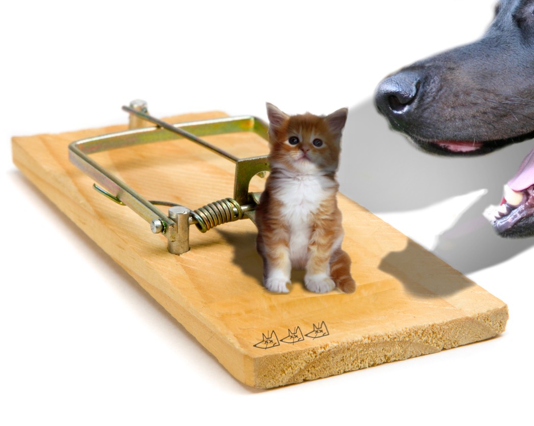 Photoshop-Design von MADXTAR für DesignCrowd (Community Contests) | Design #9003635