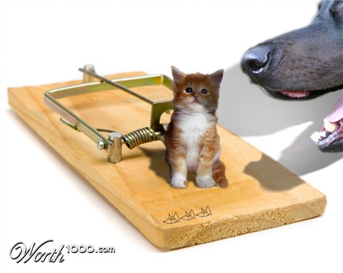 Photoshop Design by MADXTAR