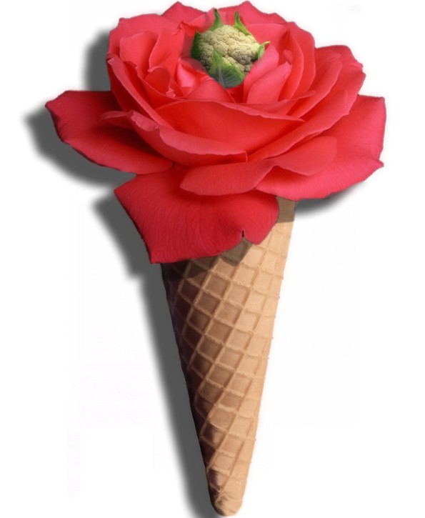 Photoshop-Design von MADXTAR für DesignCrowd (Community Contests) | Design #9003597