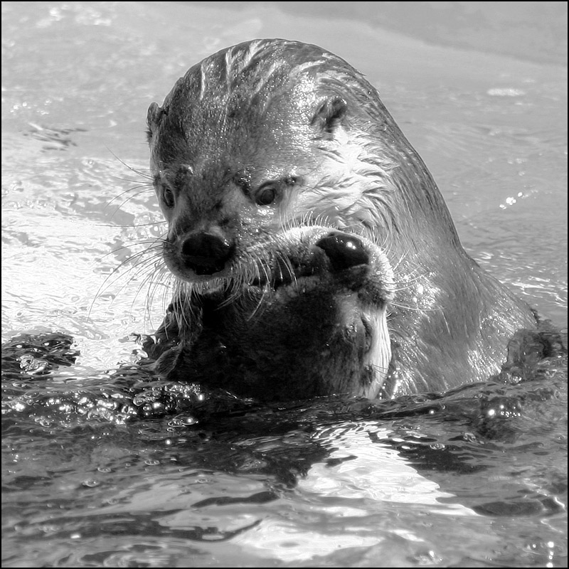 Photography by SigloV for DesignCrowd (Community Contests) | Design #9001710