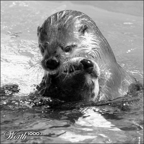 Photography by SigloV