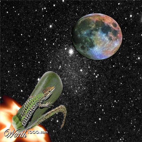 Photoshop Design by rino63