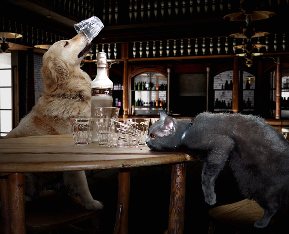 Photoshop Design by DutchPuh for DesignCrowd (Community Contests) | Design #9003664