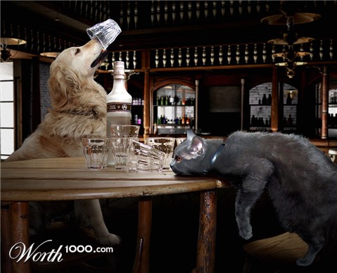 Photoshop Design by DutchPuh