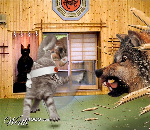 Photoshop Design by Lacenflanl