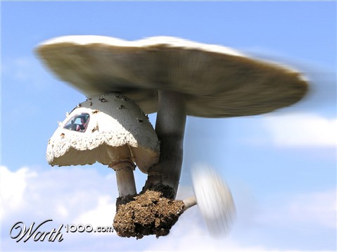 Photoshop Design by tufty68