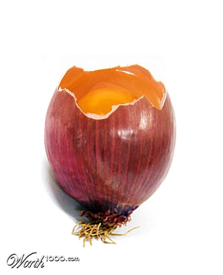 Photoshop Design by rrobos