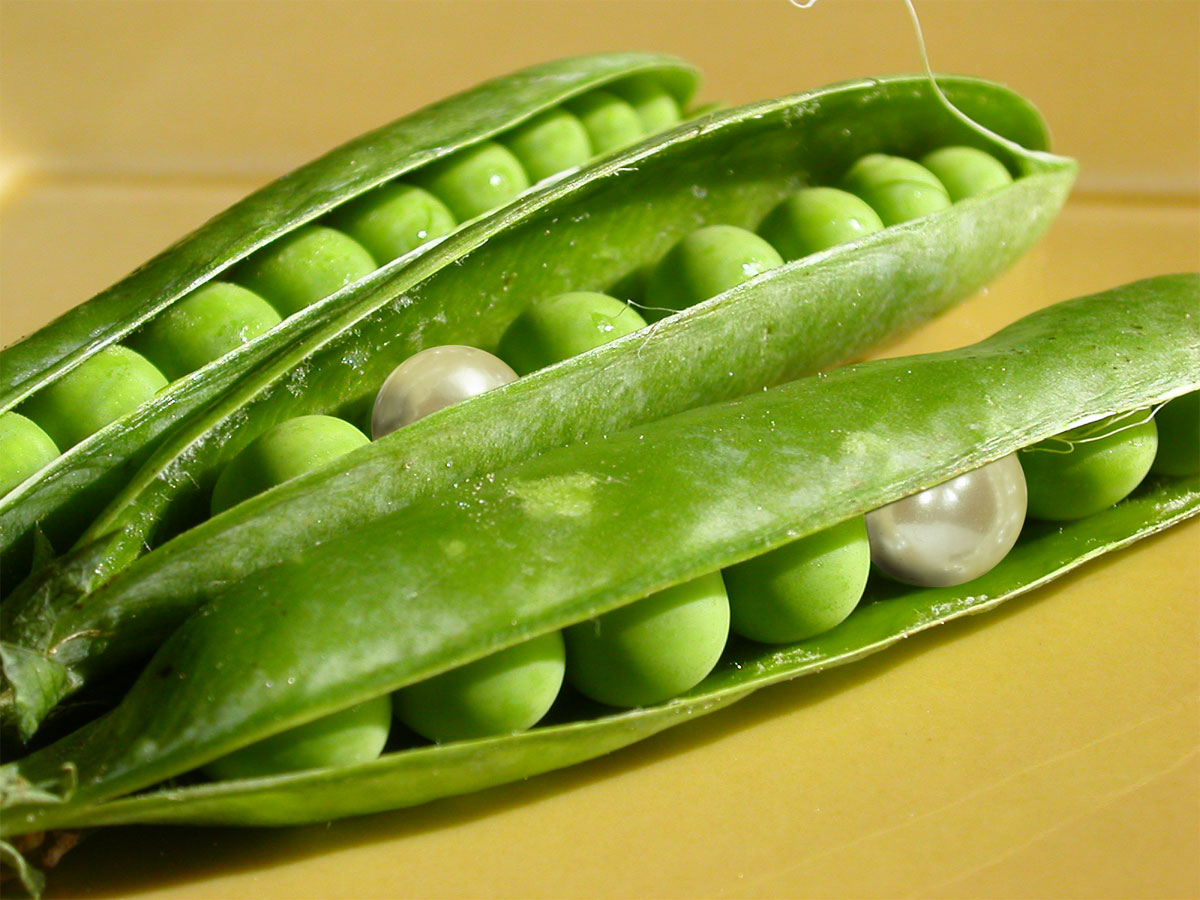 Photoshop Design by underworth for DesignCrowd (Community Contests) | Design #9003651