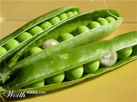 Photoshop Design by underworth