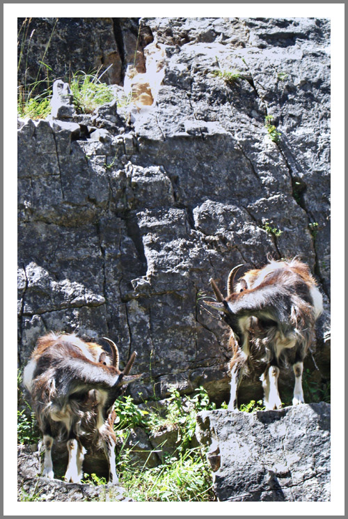 Photography by Flimzer for DesignCrowd (Community Contests) | Design #9005486