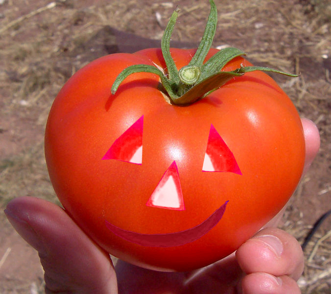 Photoshop Design by PeterAAAWelch for DesignCrowd (Community Contests) | Design #9003649