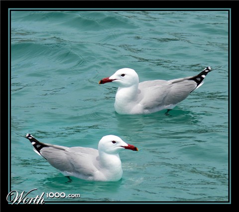 Photography by jandreu