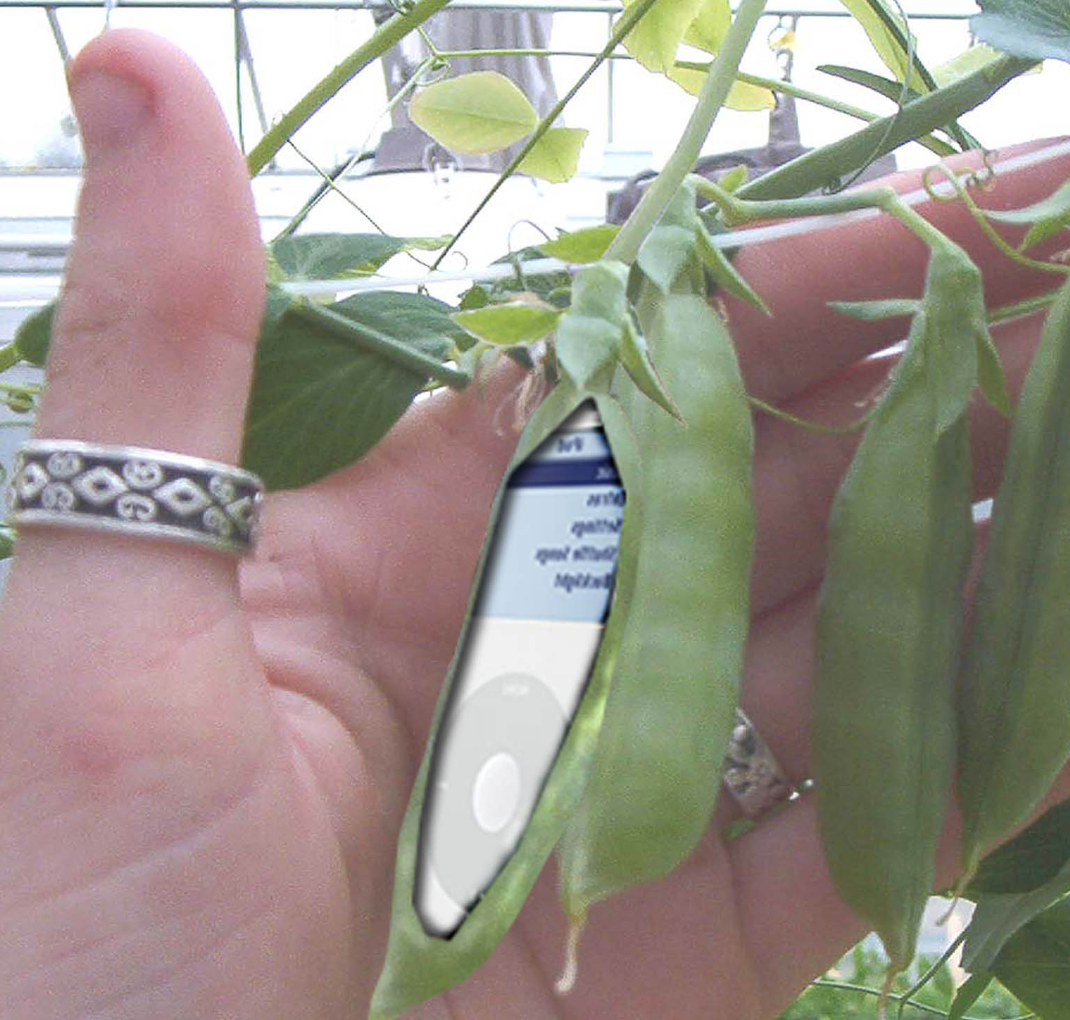 Photoshop-Design von jenjoe für DesignCrowd (Community Contests) | Design #9003686