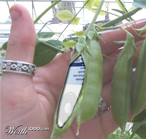 Photoshop Design by jenjoe