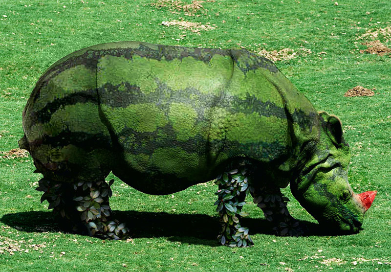 Diseño de Photoshop por Mandrak para DesignCrowd (Community Contests) | Diseño #9003689