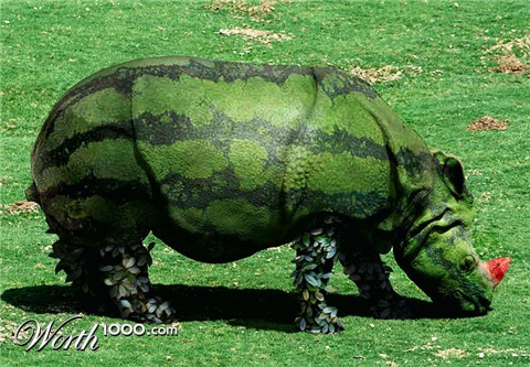 Photoshop Design by Mandrak