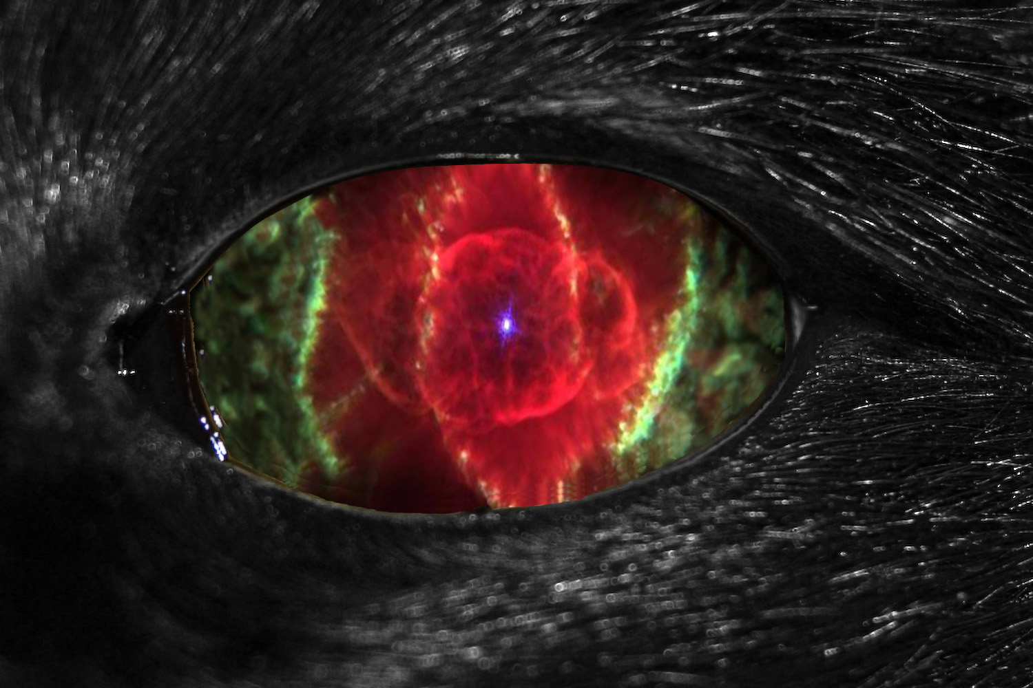 Photoshop Design by Qofcheez for DesignCrowd (Community Contests) | Design #9002963