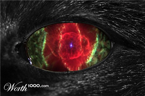 Photoshop Design by Qofcheez