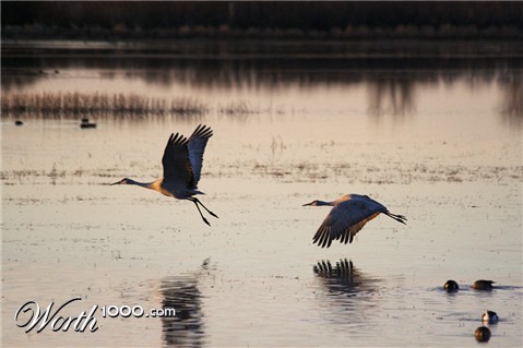 Photography by drdonallen