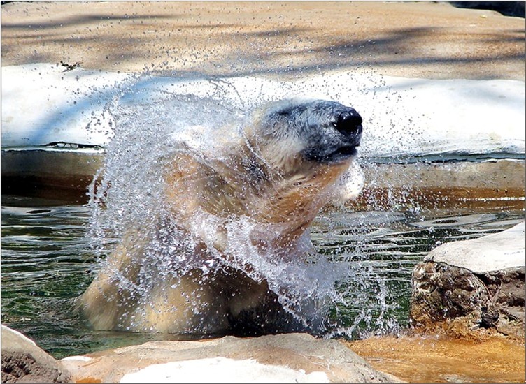 Fotografie von timpeeler37 für DesignCrowd (Community Contests) | Design #9001756