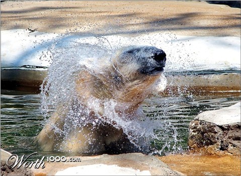 Photography by timpeeler37