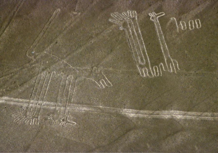 Photoshop-Design von Fishwife für DesignCrowd (Community Contests) | Design #9001212