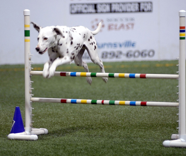 Photography by rrg239 for DesignCrowd (Community Contests) | Design #9001751