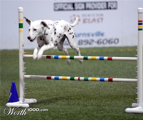 Photography by rrg239