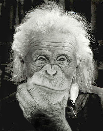 Photoshop Design by rrobos for DesignCrowd (Community Contests) | Design #9003751