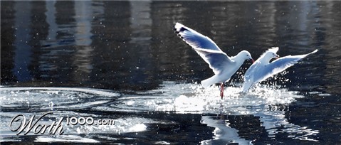 Photography by Destinyzkid