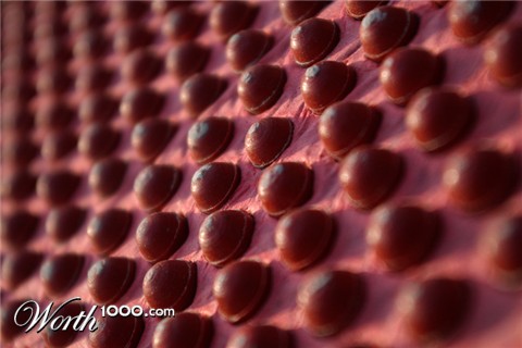 Photography by spixiana