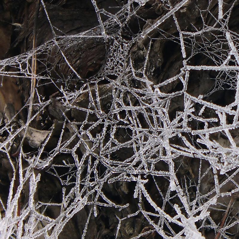 Fotografía por IsleofJura para DesignCrowd (Community Contests) | Diseño #9005669