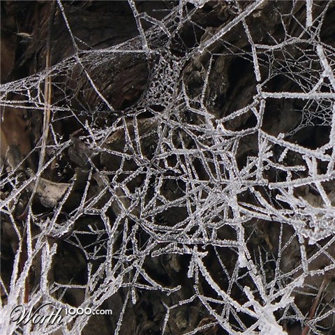 Photography by IsleofJura