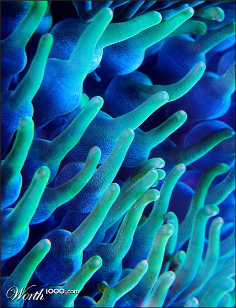 Photography by kimbomac