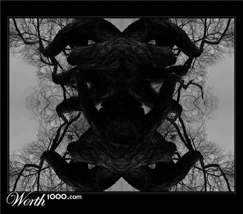 Photography by aria140