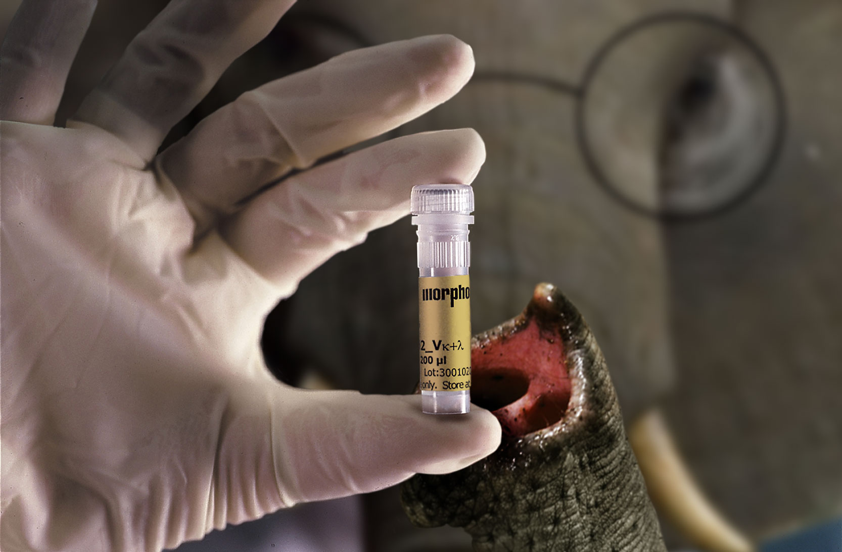 Photoshop Design by Artifakts for DesignCrowd (Community Contests) | Design #9003784