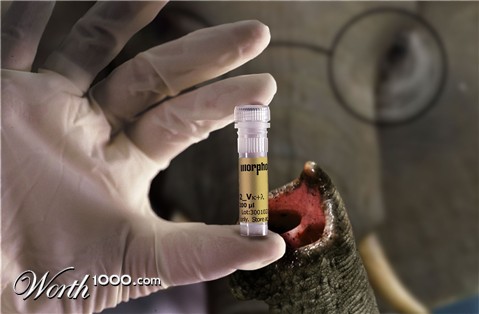 Photoshop Design by Artifakts