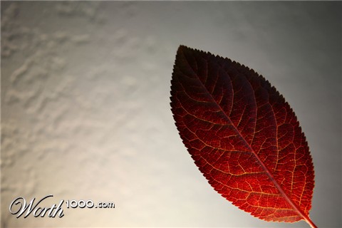 Photography by NNowack