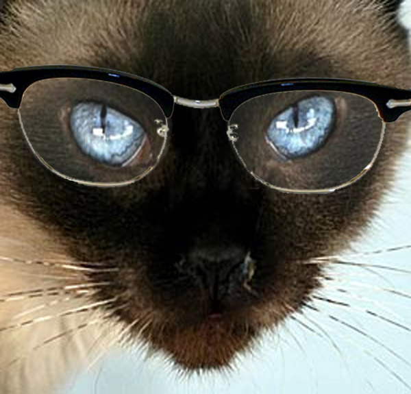 Photoshop-Design von editika für DesignCrowd (Community Contests) | Design #9003788